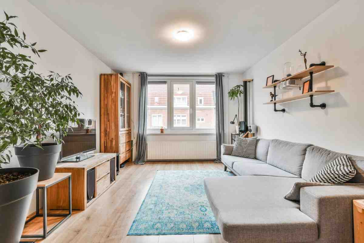 A cozy living room featuring a gray sectional sofa, wood furniture, plants, and decorative shelves, illuminated by natural light.