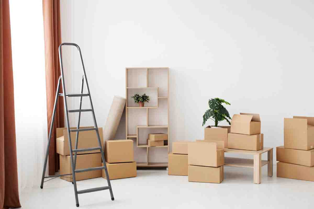 A room with a ladder, cardboard boxes, and a wooden shelf featuring plants, against a white wall with warm curtains.